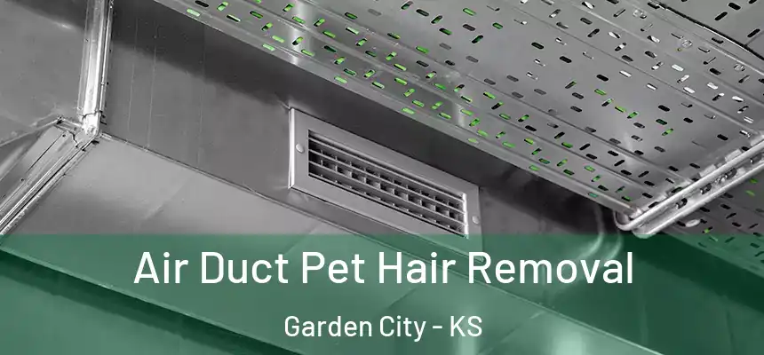  Air Duct Pet Hair Removal Garden City - KS
