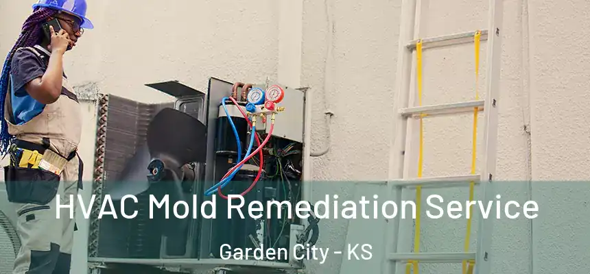  HVAC Mold Remediation Service Garden City - KS