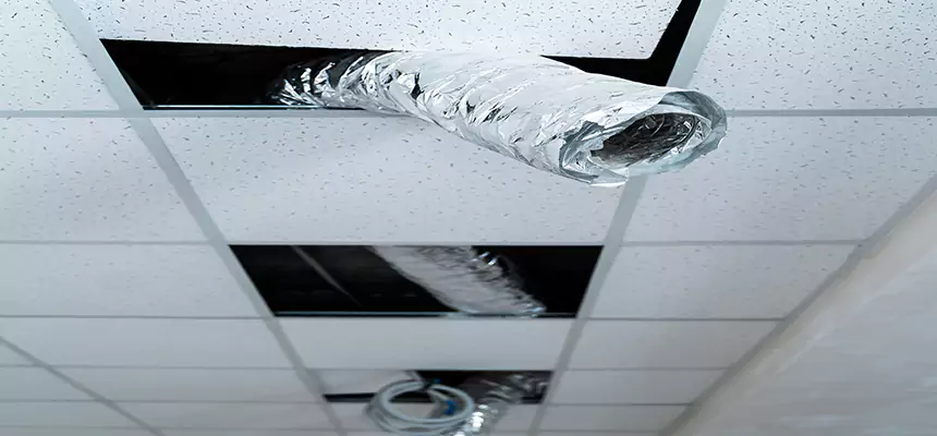 Our Air Duct Pet Hair Removal Services in Garden City, KS