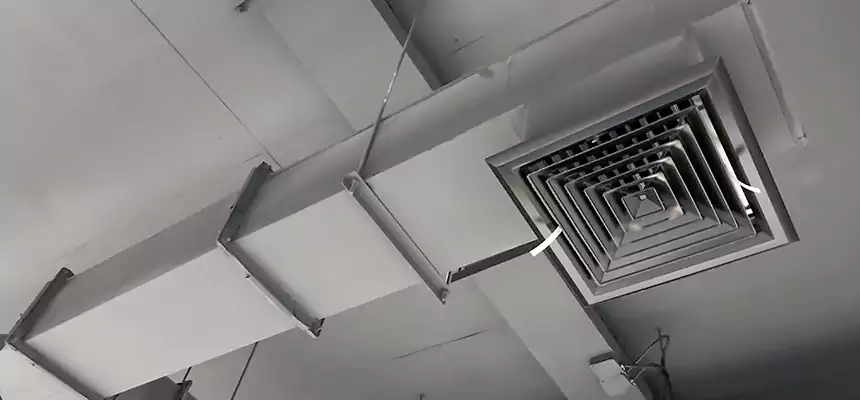 Our Rodent Droppings In Vents Services in Garden City, KS