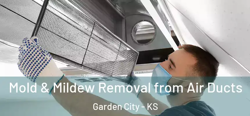  Mold & Mildew Removal from Air Ducts Garden City - KS