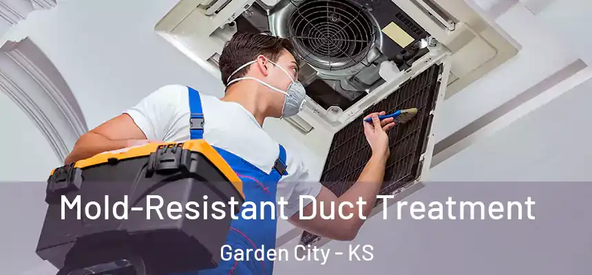  Mold-Resistant Duct Treatment Garden City - KS
