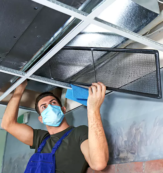 About Air Duct Bacteria Removal in Garden City