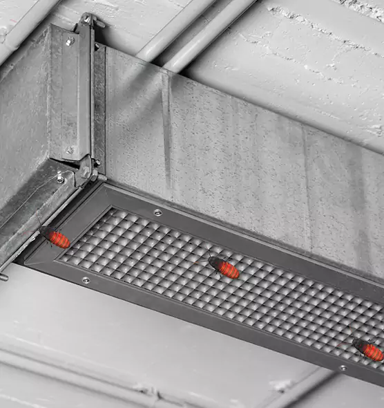 Affordable Insect Removal from Air Ducts in Garden City, KS